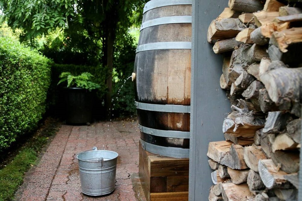 Heavy rains reveal native carpenter bee holes in the rain barrel cork. | Laura Marie Neubert