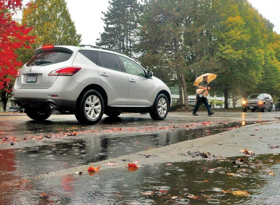 web1_nsn-20250814-rainfall-warning-north-shore
