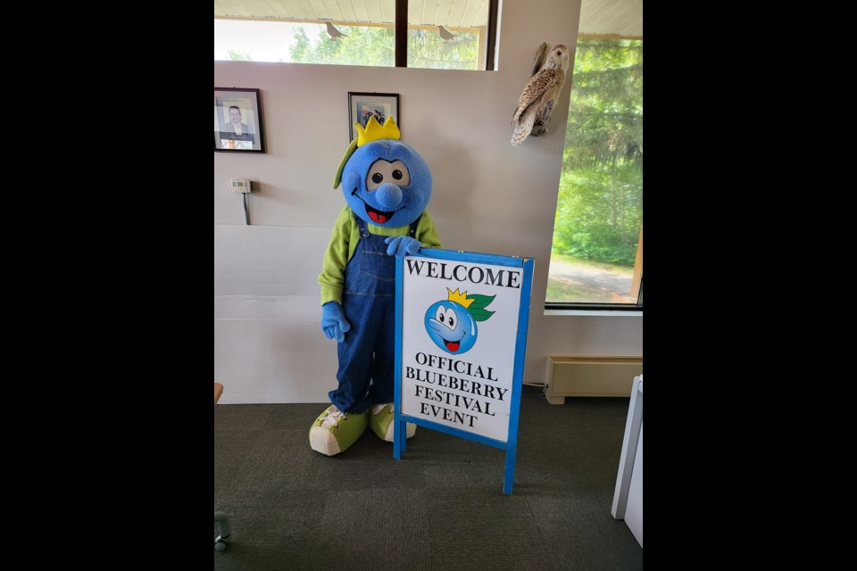 Blueberry Bert celebrates his 40th birthday this year at the Blueberry Festival in Sioux Lookout. (facebook.com/blueberrybert)