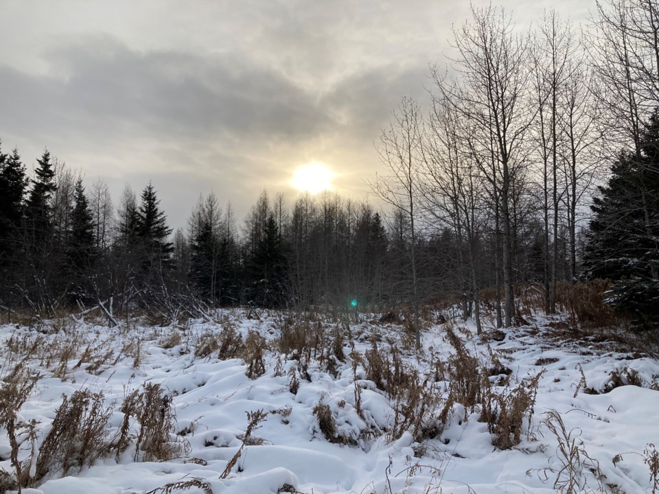 debrakobe221117