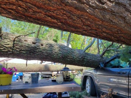 Sioux Narrows Nestor Falls2