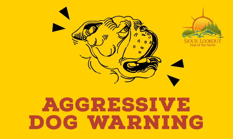 Aggressive dog