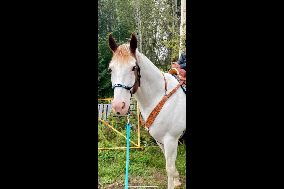 Scenes from the fall festival in Ear Falls over the weekend. (Photos courtesy Michelle Hiscox)