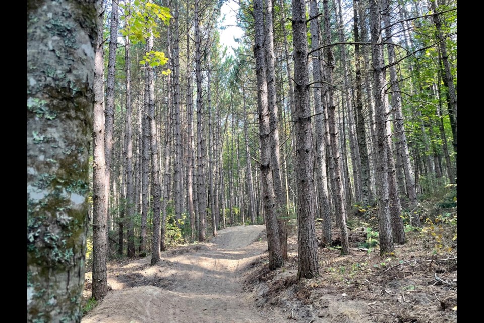 Phase one of the Nestor Falls Bike Trail System (Photo courtesy of the Heather Gropp) 