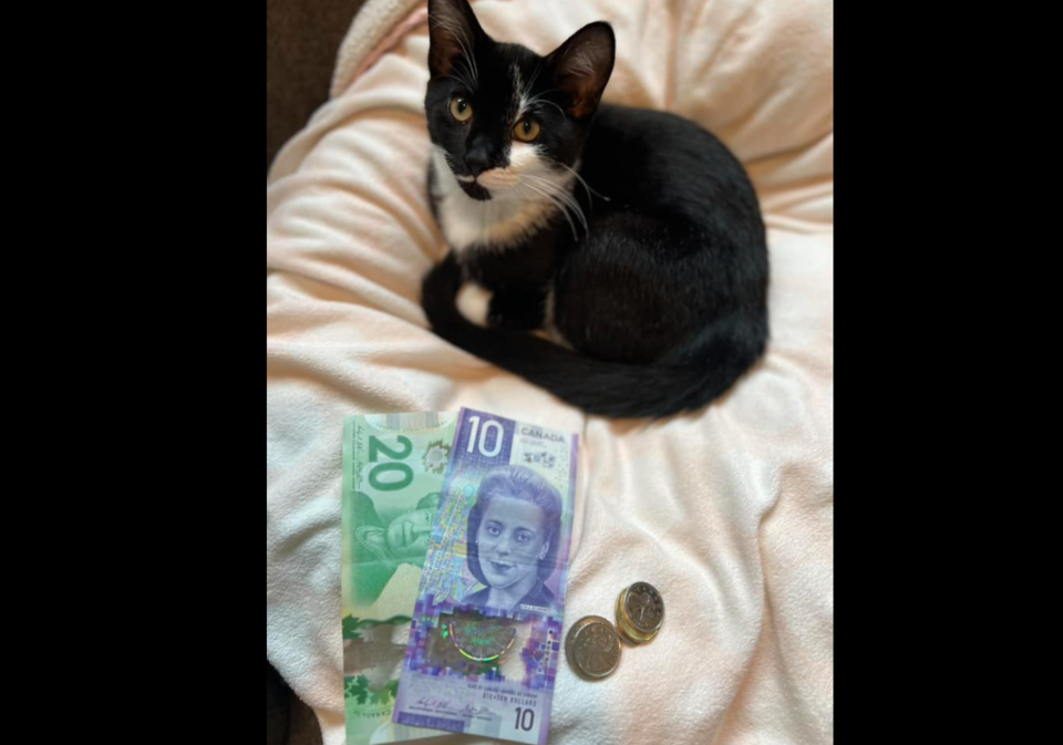 empties-for-paws-fort-frances-facebook