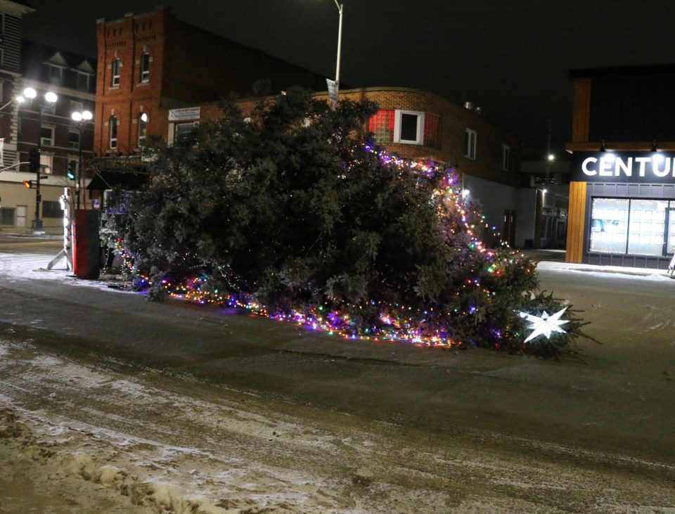 kenora-tree-toppled