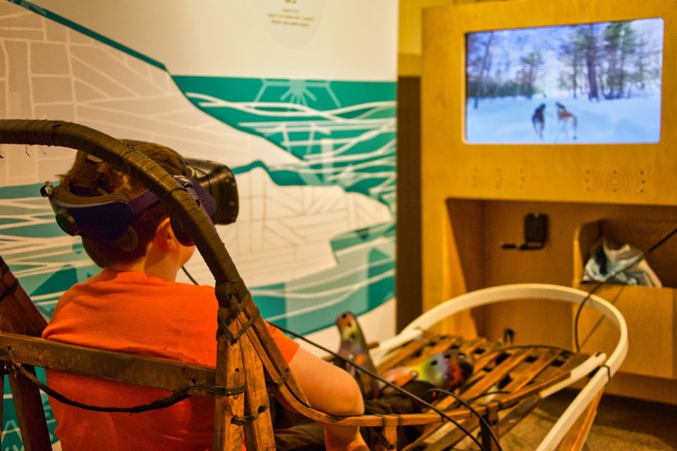 vr-dogsledding
