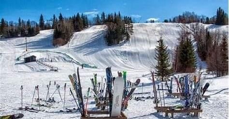 mt-evergreen-2
