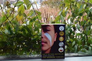 Marrow Thieves Book by Megan |  A copy of The Marrow Thieves set against the backdrop of two seasons, encapsulating the unique narrative and style of Cherie Dimalines