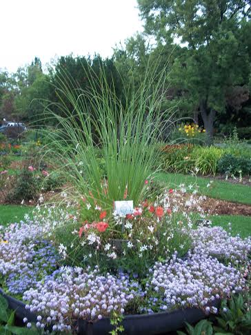 The Town of Oakville’s All-America Selections trial gardens in Shell Park. | Town of Oakville