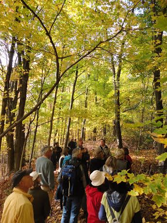 Karen Brock Photographer, People tour woodlands during the fall |  Karen Brock President of Oakvillegreen