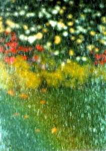 abstract of field with poppies and daisies |  Monet by Steve Levinson
