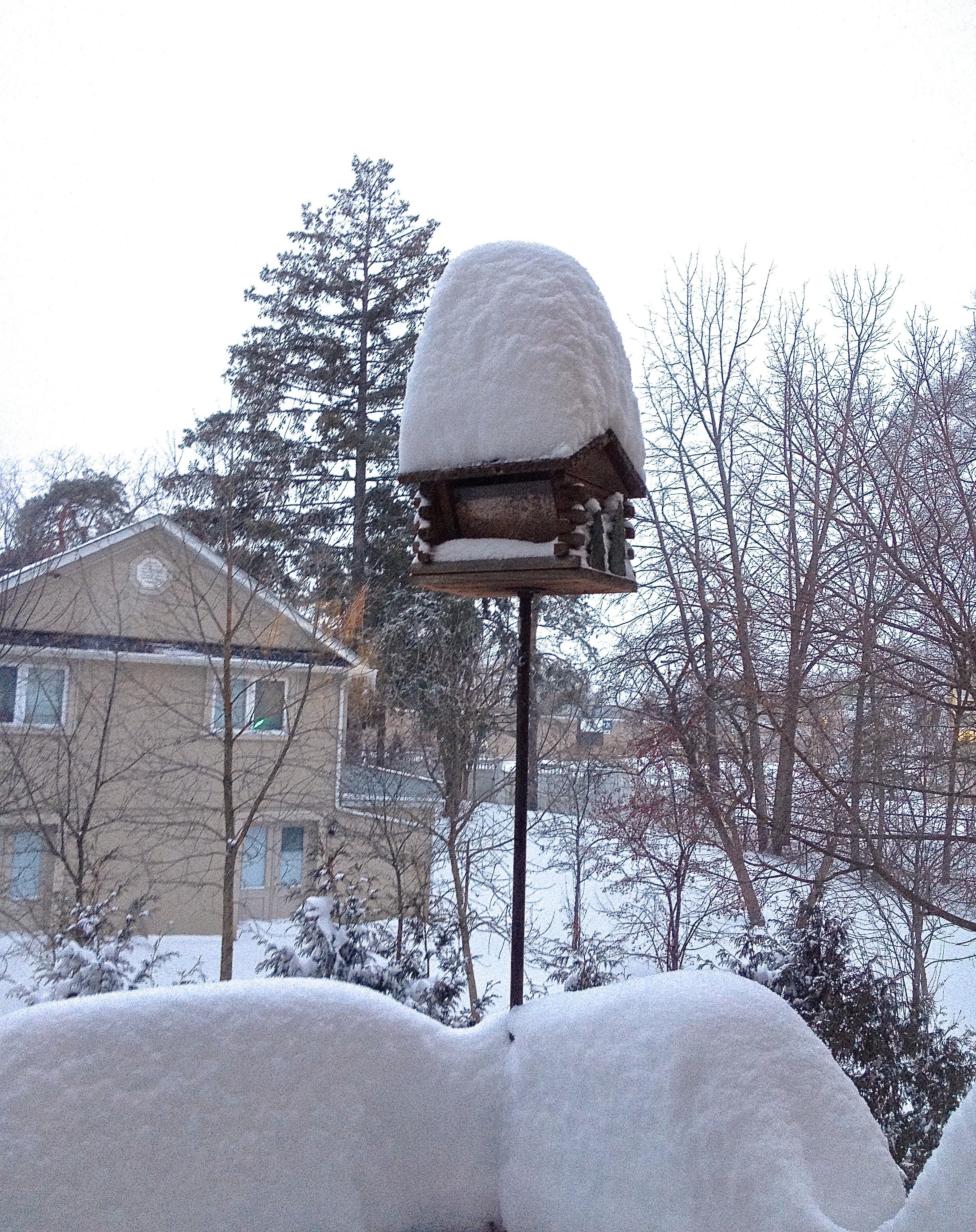 Bird House with Snow | OakvilleNews.Org