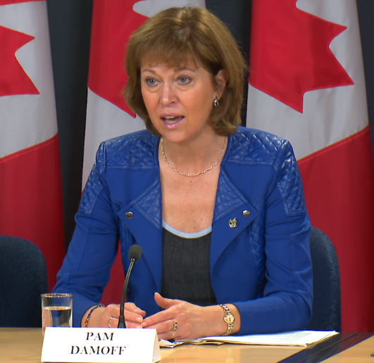 MP Damoff speaking to press at the Press Conference in Ottawa. | Government of Canada