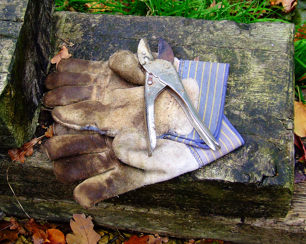 Pruning Sheares on a wooden bench with work gloves | C.K.H.  -  Foter  -  CC BY-ND