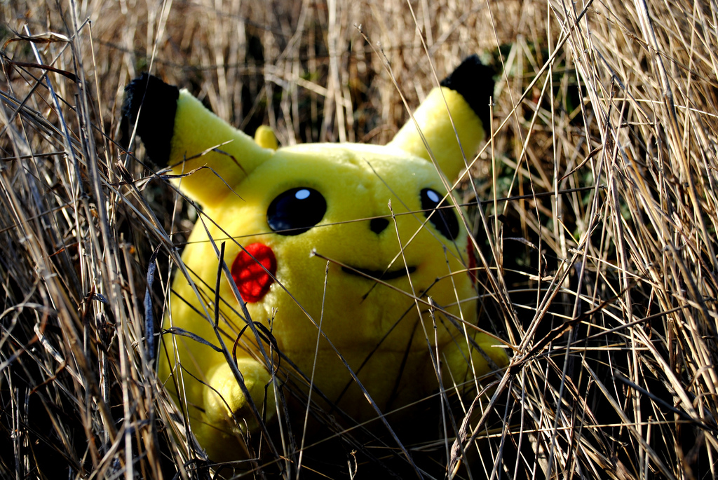 Yellow Pokemon in a field | Sadie Hernandez via Foter.com  -  CC BY