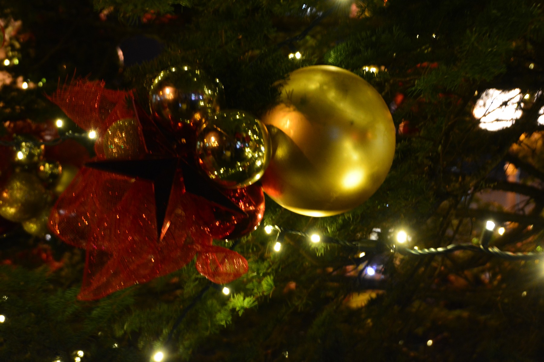 Christmas Tree Lighting: Downtown Oakville | Janet Bedford