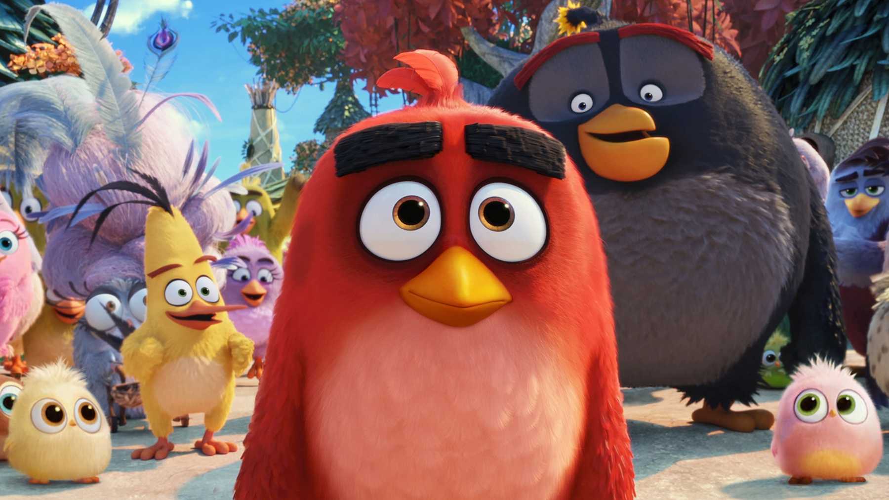 Angry Birds | Sony Pictures Animation