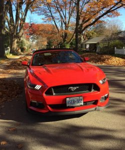 Mustang GT Convertible Premium |  2016 Mustang GT Convertible Premium