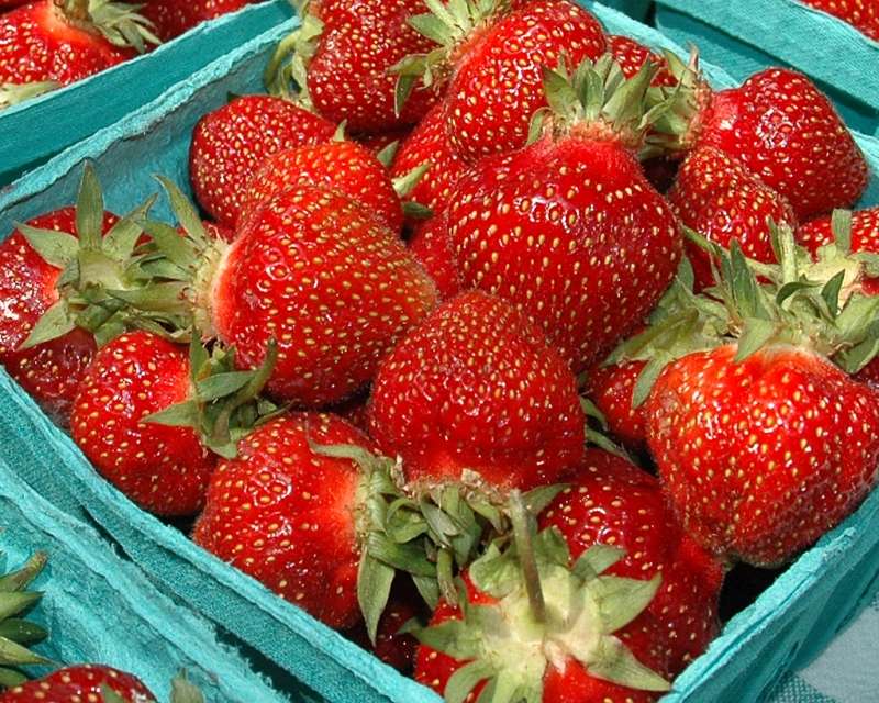 basket of strawberries | Photo credit: ewan traveler  -  Foter  -  CC BY 2.0