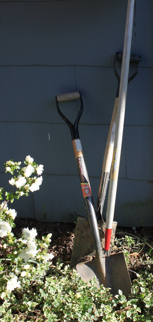 gardening tools in the sun | Rachel Tayse  -  Foter  -  Creative Commons Attribution 2.0 Generic (CC BY 2.0)