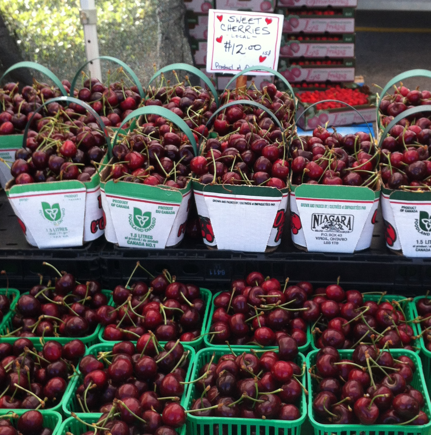 Cherries from Roberts Farms | Michele Bogle