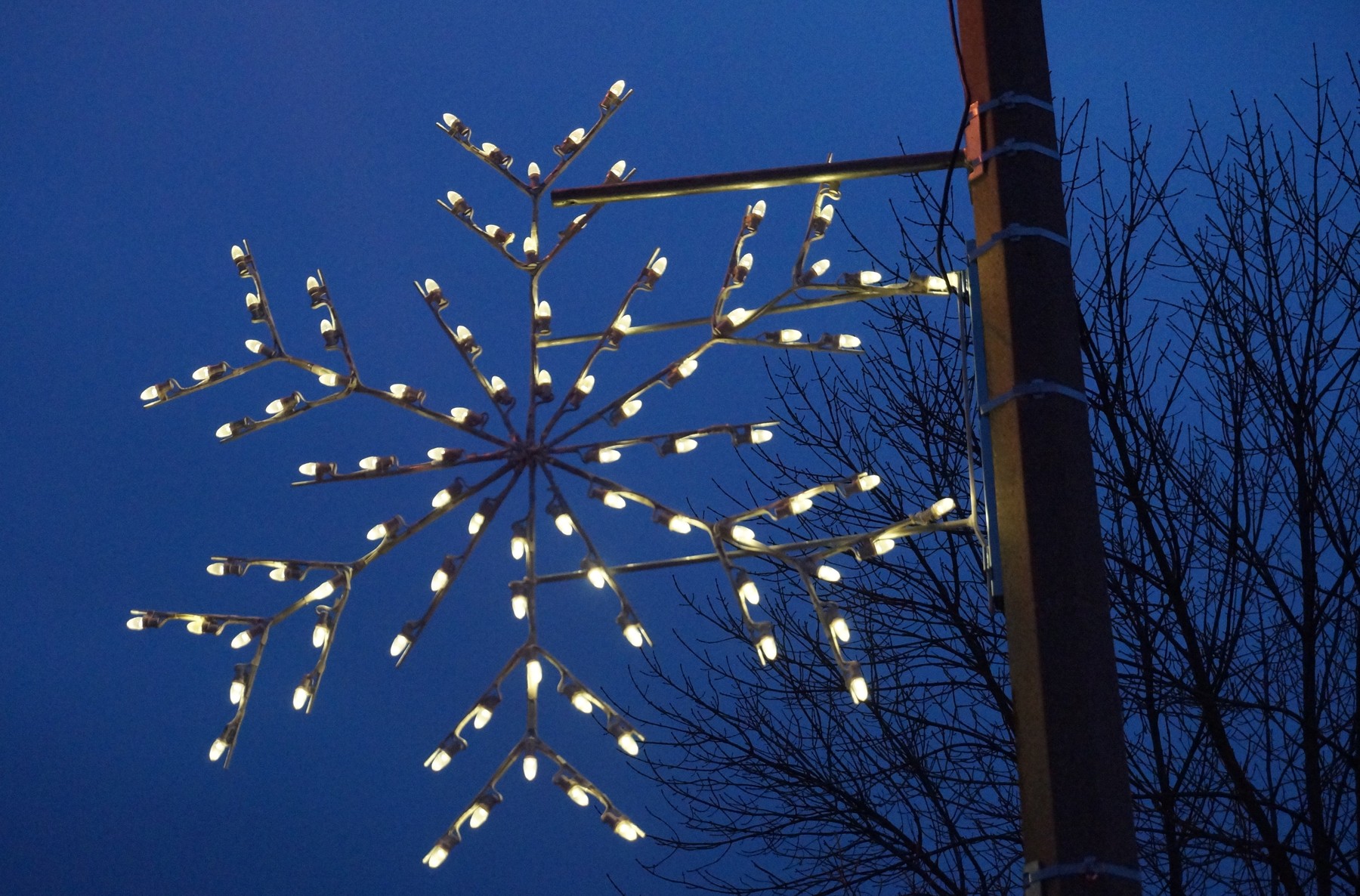 Light star on light post in Bronte Village | OakvilleNews.Org