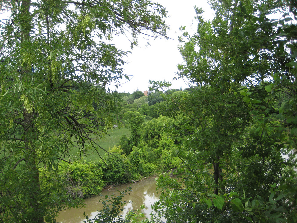 16 Mile Creek facing North from Randall | William Mewes  -  Foter  -  CC BY