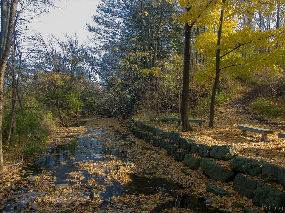 Creek through Appleby Collge | Brian Gray Photography