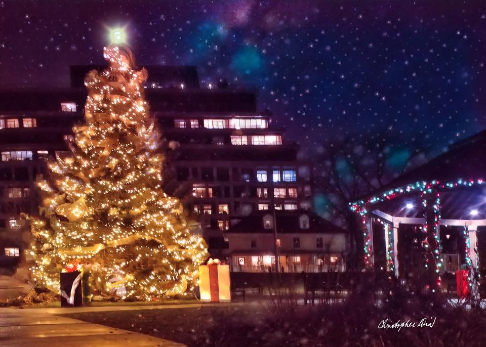 2019 Christmas Light Displays | Christopher Dias