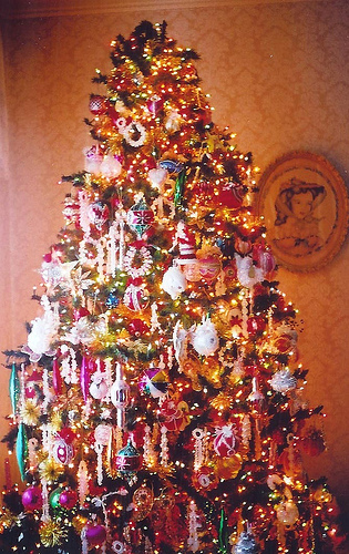 Christmas Tree, Oakville News