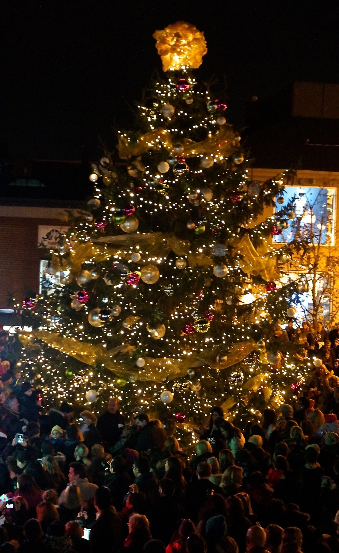 Lit Christmas Tree Outdoors | OakvilleNews.Org