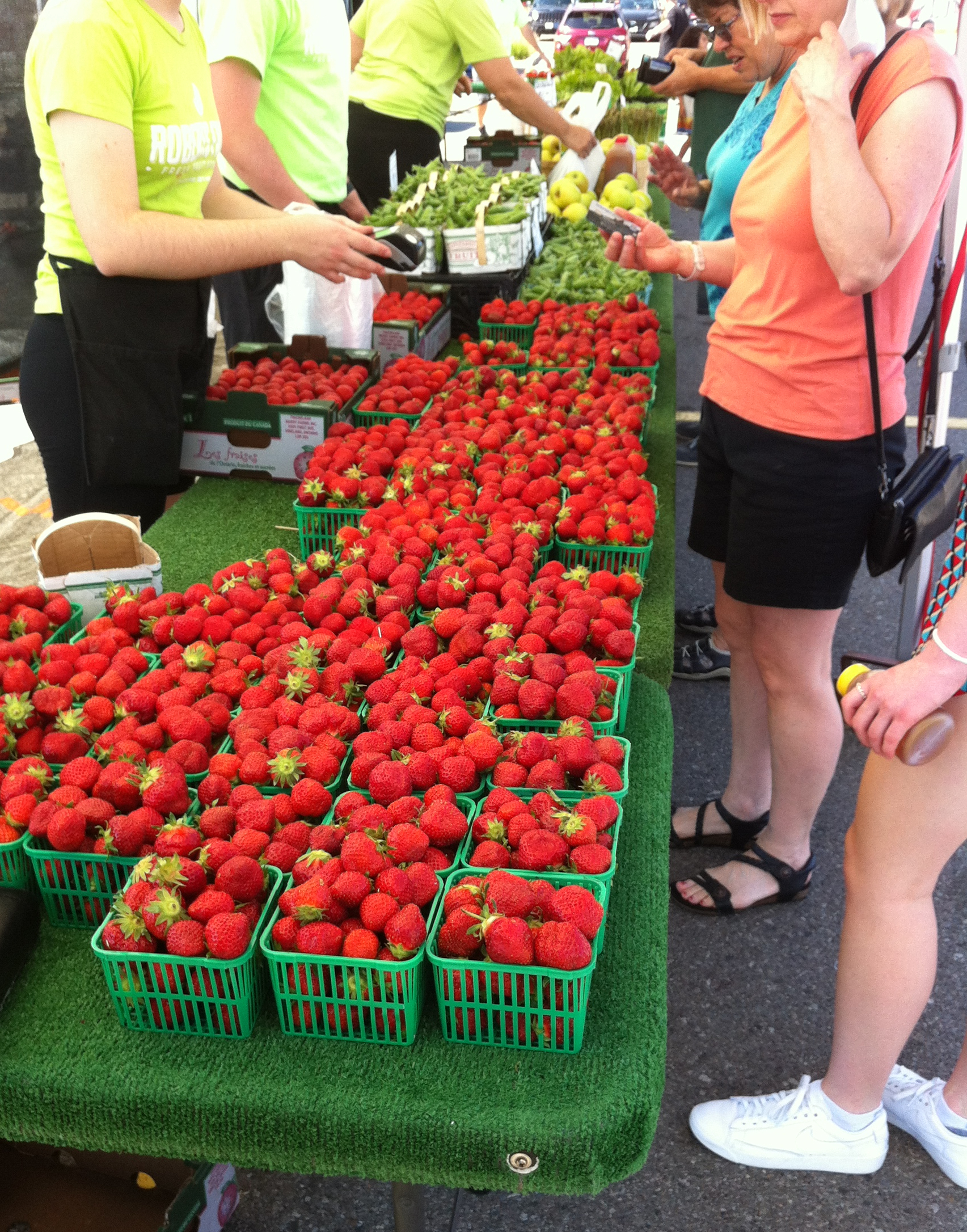 Roberts Farms Strawberries | Michele Bogle