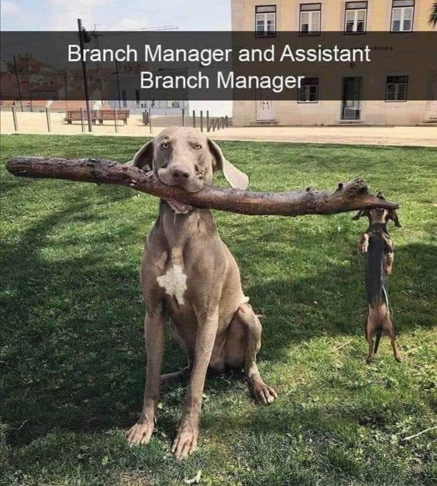 Branch Manager | Public Domain