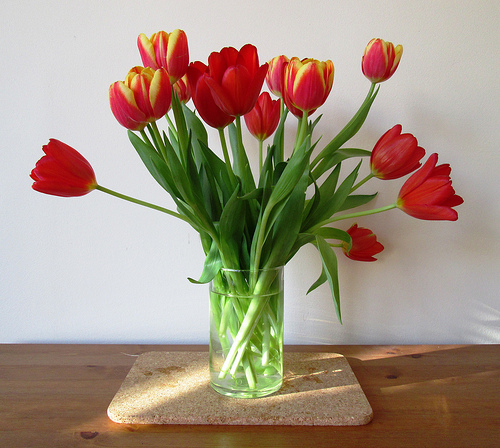 Tulips in a Vase, | OakvilleNews.Org