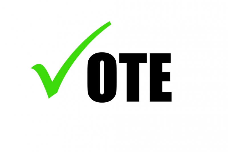 word "VOTE" spelt with the "V" replaced by a check mark | Alan Cleaver  -  Foter  -  CC BY