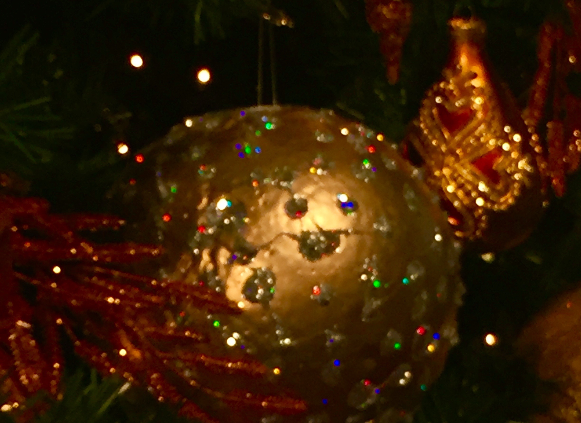 Christmas Ornament | OakvilleNews.Org