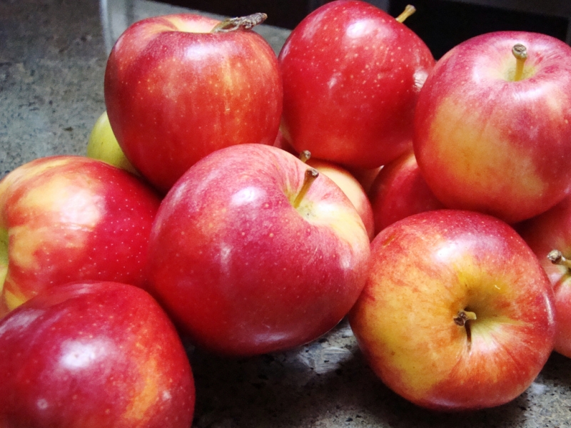 Apples | Janet Hudson  -  Foter  -  CC BY