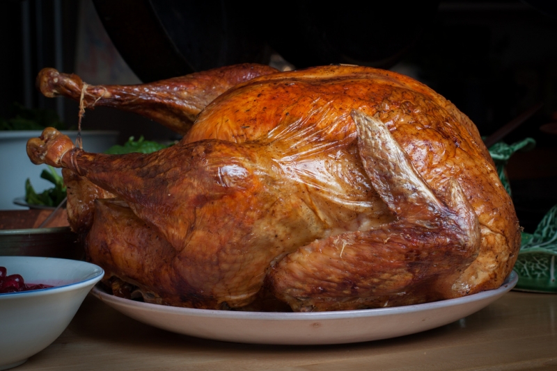 roasted turkey | timsackton  -  Foter  -  CC BY-SA