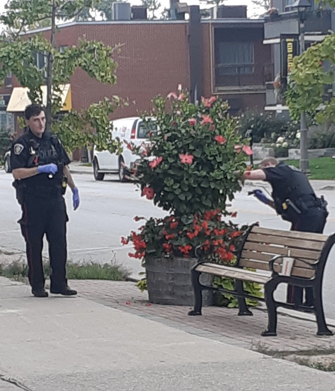 HRPS officers search for a firearm | J. Potoma