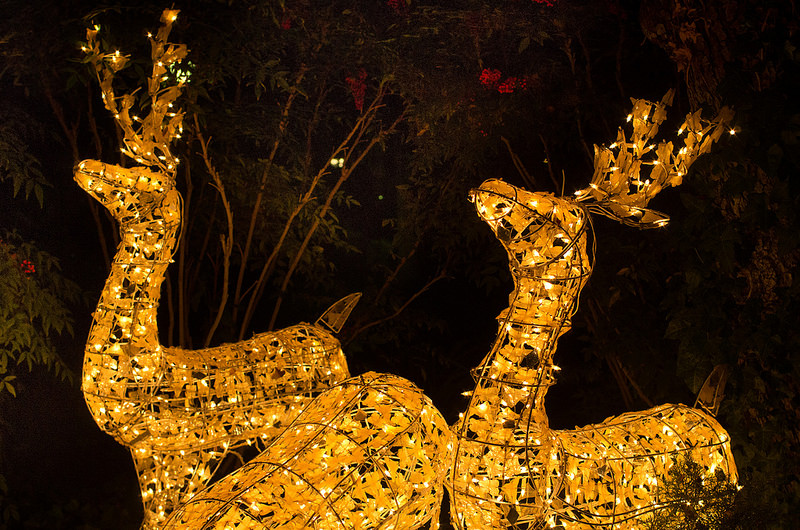 Reindeer Christmas Lights, Oakville, Ontario | Reindeer Christmas Lights, Oakville, Ontario |  niiicedave (back from AK USA)  -  Foter  -  CC BY-SA