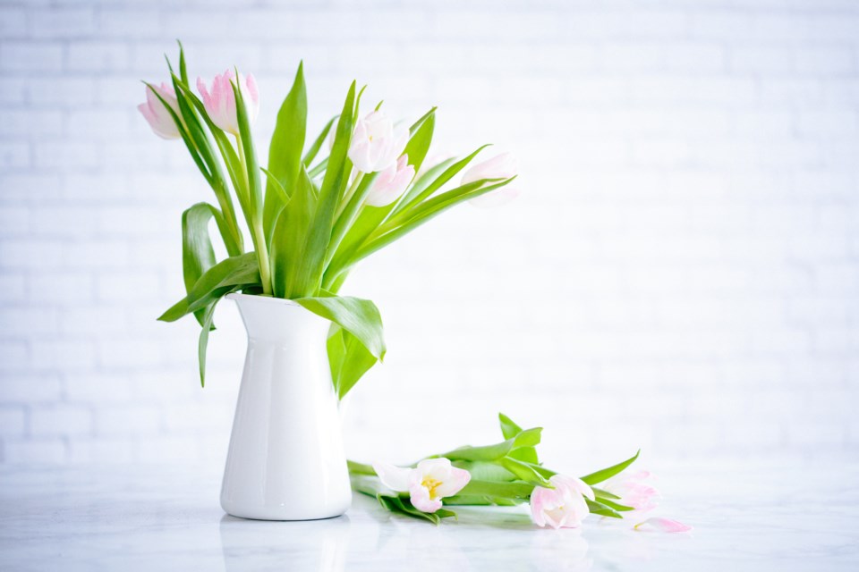 spring-flower-vase-tulips