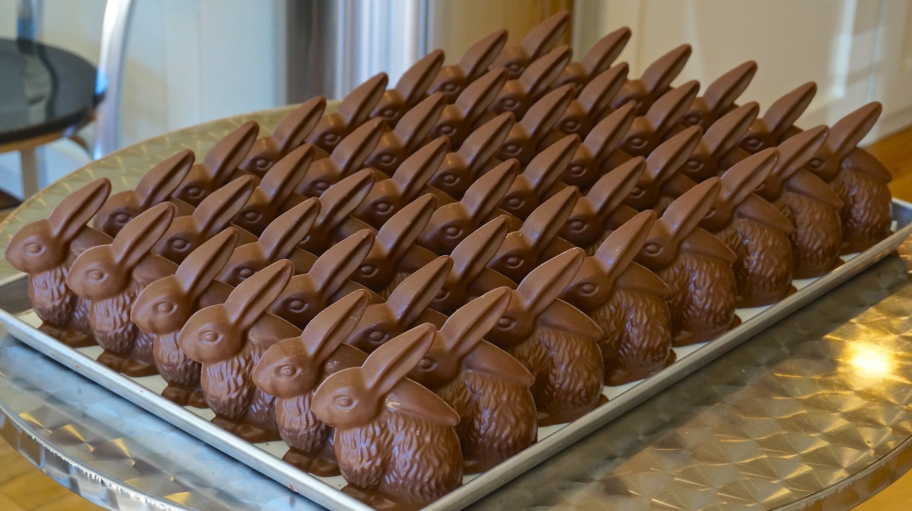 Chocolate Bunnies, Circus Chocolates, Oakville News | Oakville News