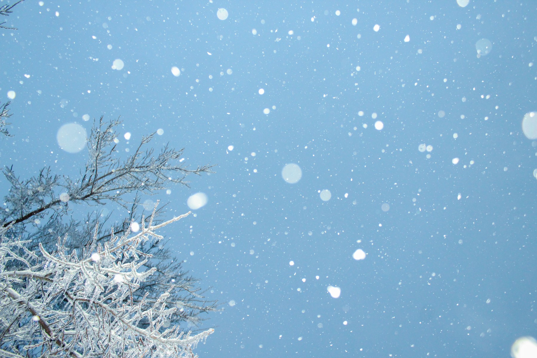 Snow Fall Warning | Chandler Cruttenden