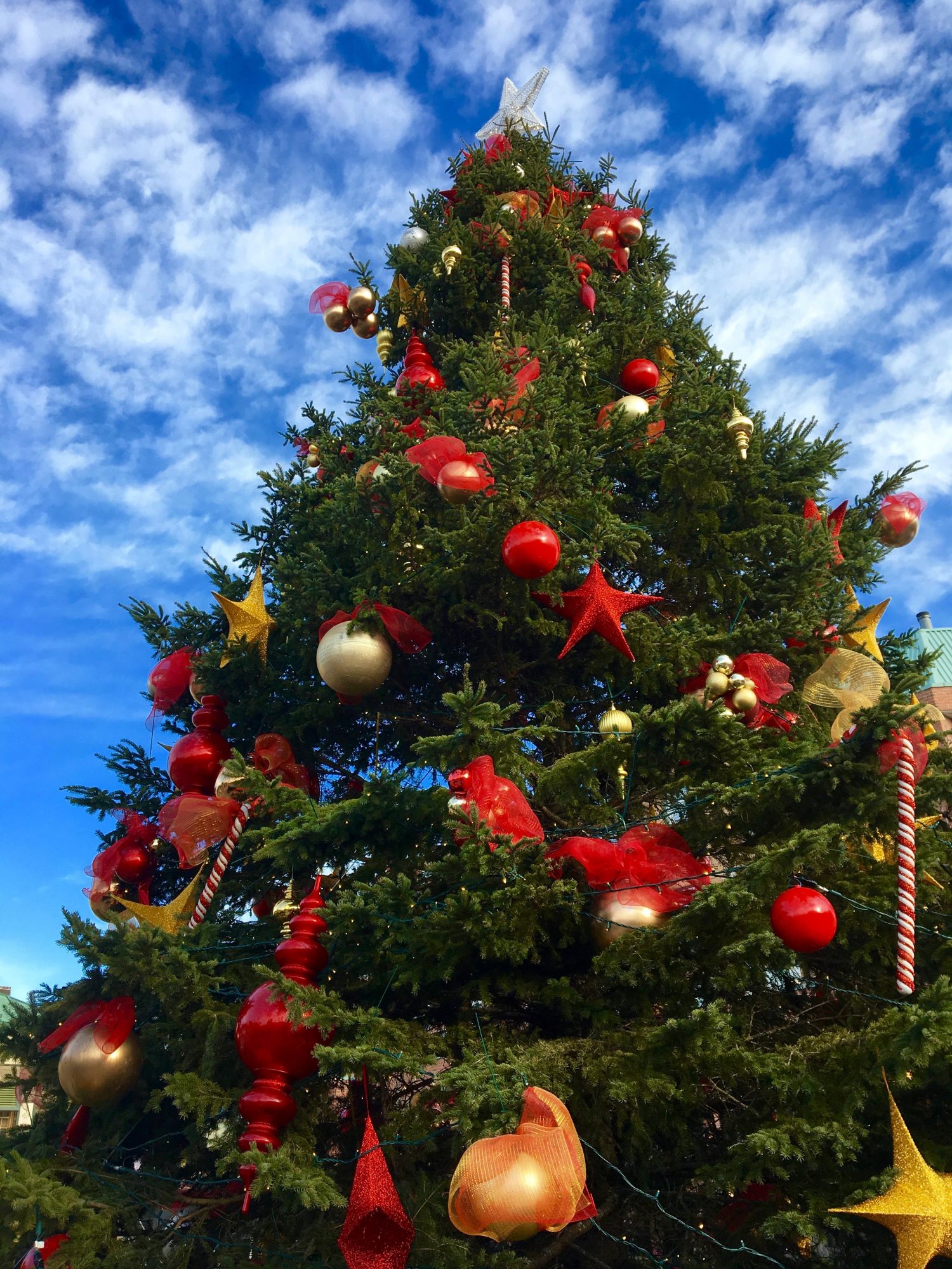 2018 Christmas Events in Oakville - Christmas Tree | Christmas Tree | Oakville News