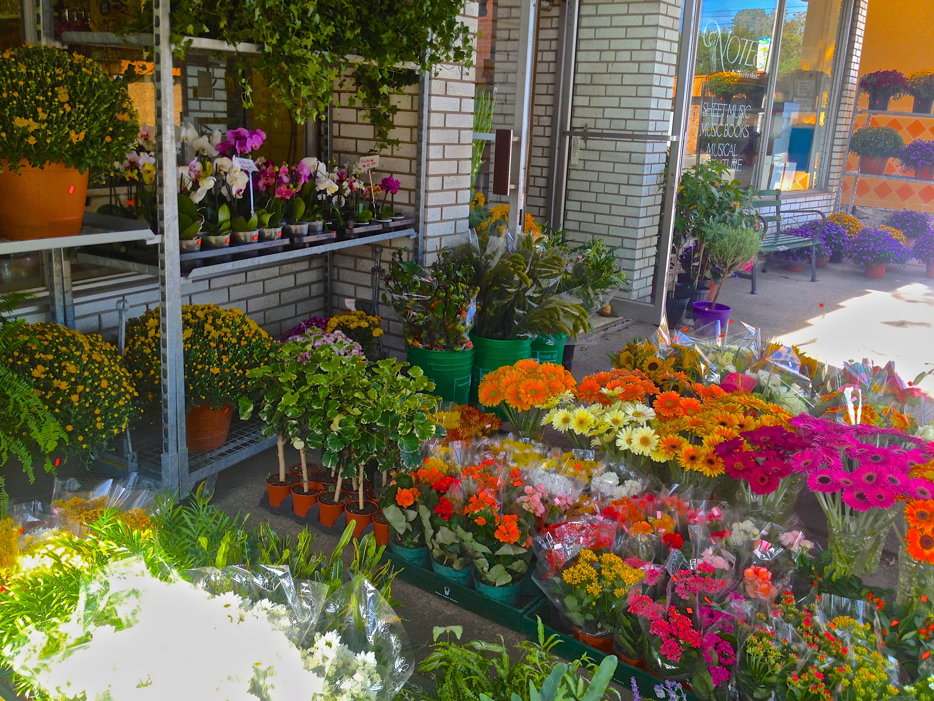 Flower Shop Oakville | Oakville News