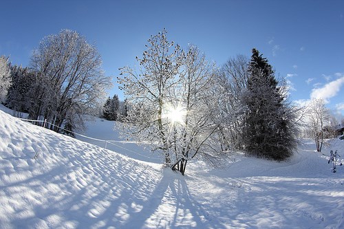 Winter Sun, Oakville News