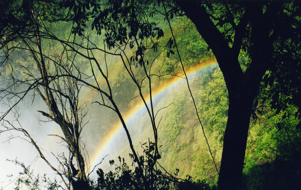 Rainbow | TheLizardQueen  -  Foter  -  CC BY 2.0