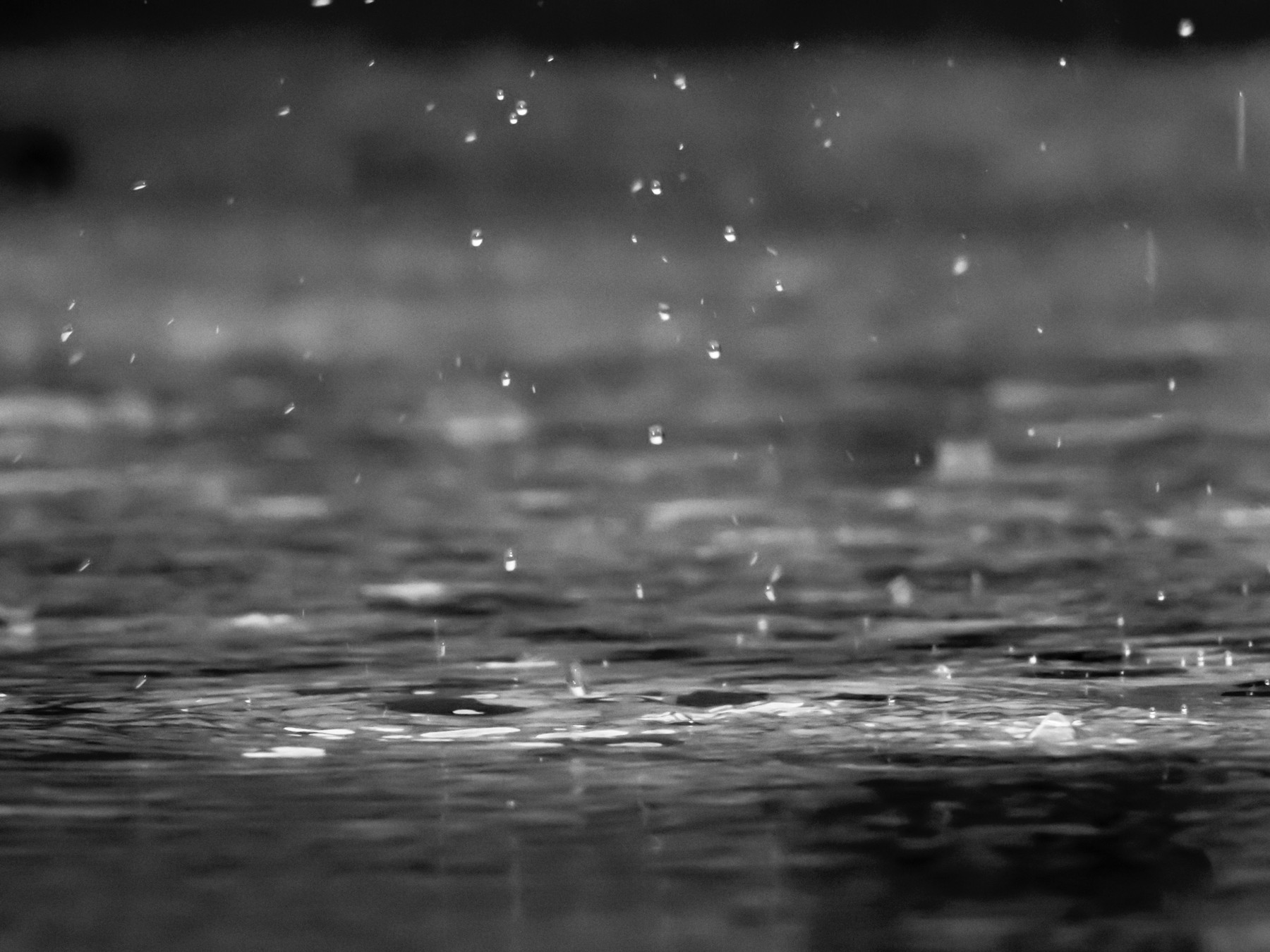 Rainfall Warning | Reza Shayestehpour