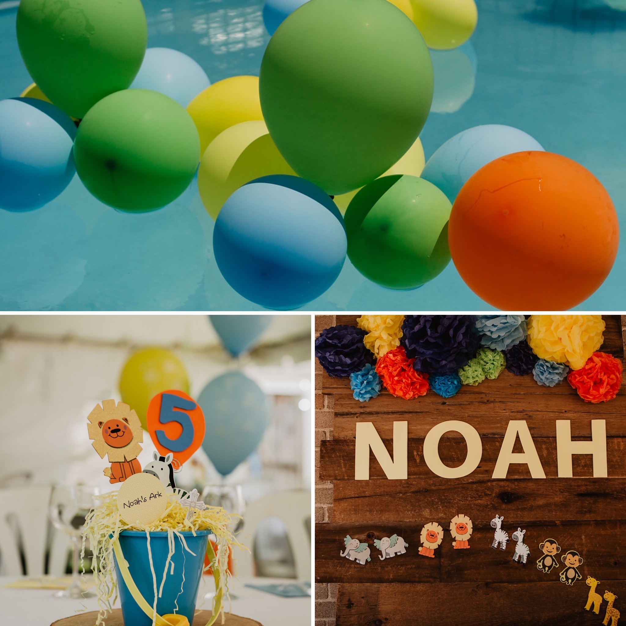 Noah Birthday | Kim Torrance